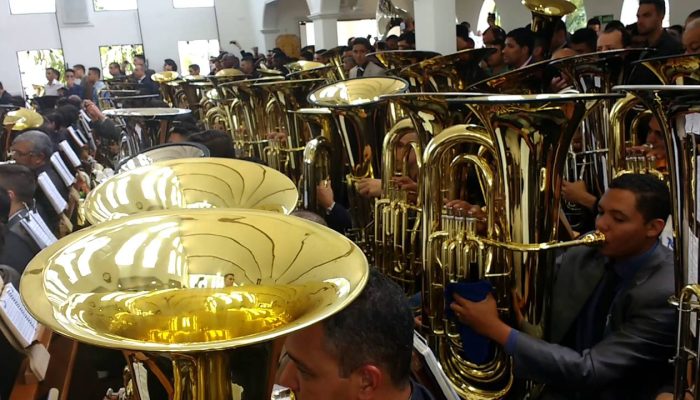 metaleita
