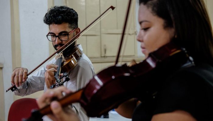 violino